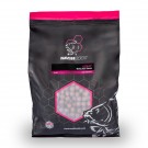 NASH CITRUZ BOILES 2024   NEW