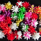 EVOLUTION CARP TACKLE COCKTAIL BAITS