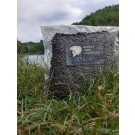 HUNGRY CARP PARTICLES CANAPA NATURALE COTTA 1 / 5 KG.