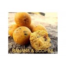 ANY WATER TOP BOILES BANANA & SCOPEX 1 KG.