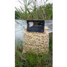 HUNGRY CARP PARTICLES MAIS GIGANTE BIANCO COTTO NATURALE 1 KG.