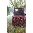 HUNGRY CARP PARTICLES BACCHE D'ACERO COTTE NATURALI 1 KG.