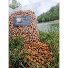 HUNGRY CARP PARTICLES TIGER NUTS COTTE NATURALI 1 / 5 KG.