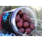 ANY WATER BALANCED BOILES TANGERINE SQUID