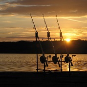 Tutte le canne per il carpfishing del catalogo