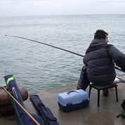 Tutte le canne fisse del catalogo