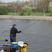 Tutte le canne inglesi