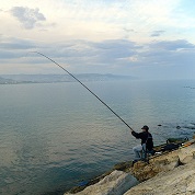 Tutte le canne bolognesi del catalogo