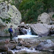 Tutte le canne per la trota in torrente