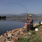 Tutte le canne feeder e legering