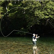 Tutte le canne per la pesca a mosca